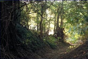 Hesbaye Limbourgeoise